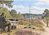 POTA in Nederlandse natuurgebieden Radioamateur bedient een portable POTA-station met vrijstaande antenne in een Nederlands natuurgebied.
